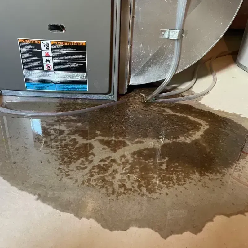 Appliance Leak Cleanup in Chadbourn, NC